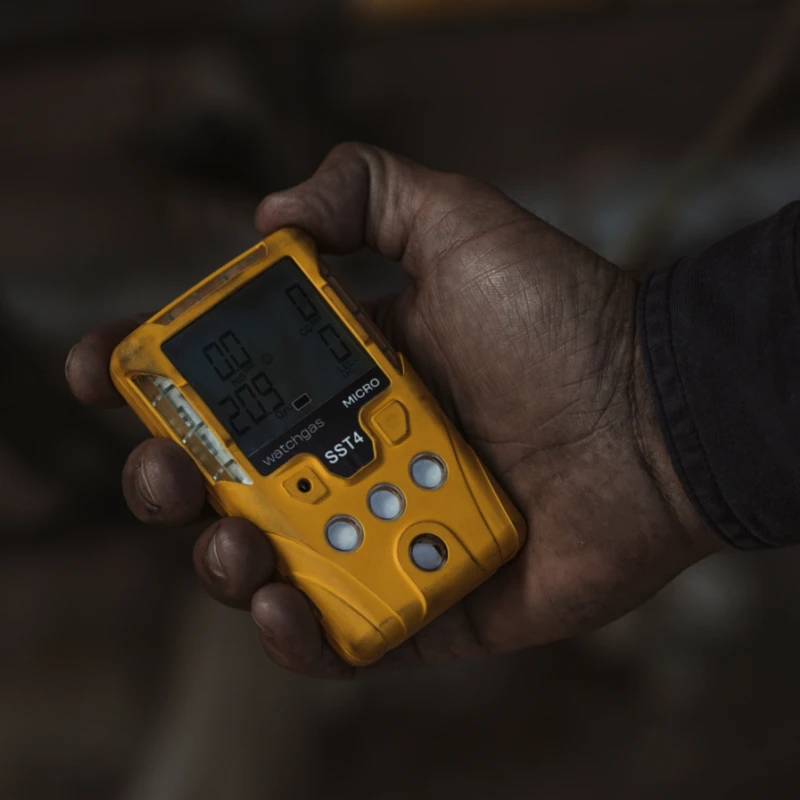 Portable Four gas Detector